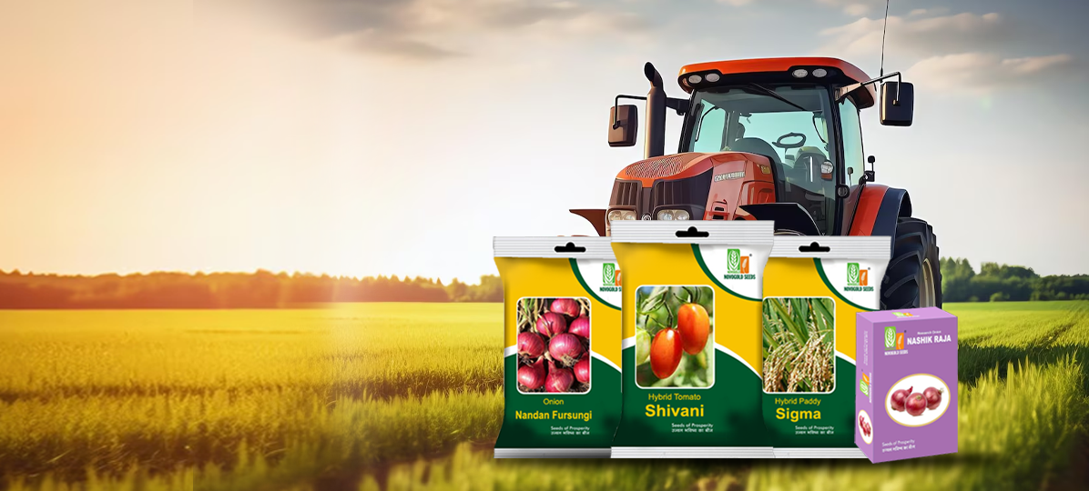 Novogold Seeds Banner
