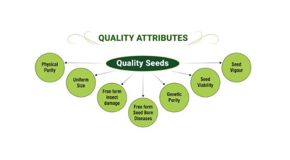 Quality Attributes Diagram
