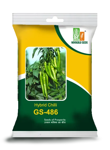 Hybrid Chilli GS-486